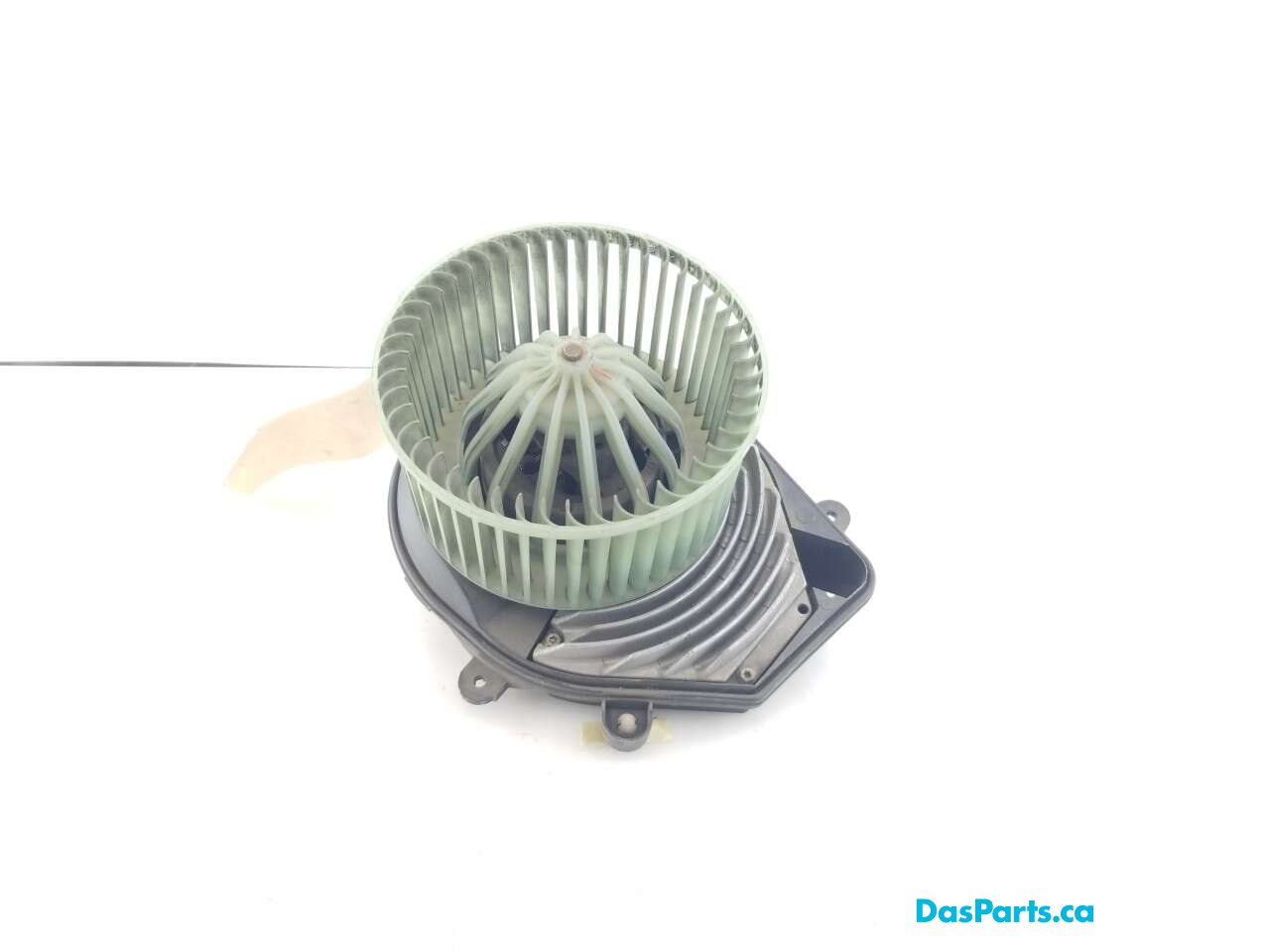 Blower Motor