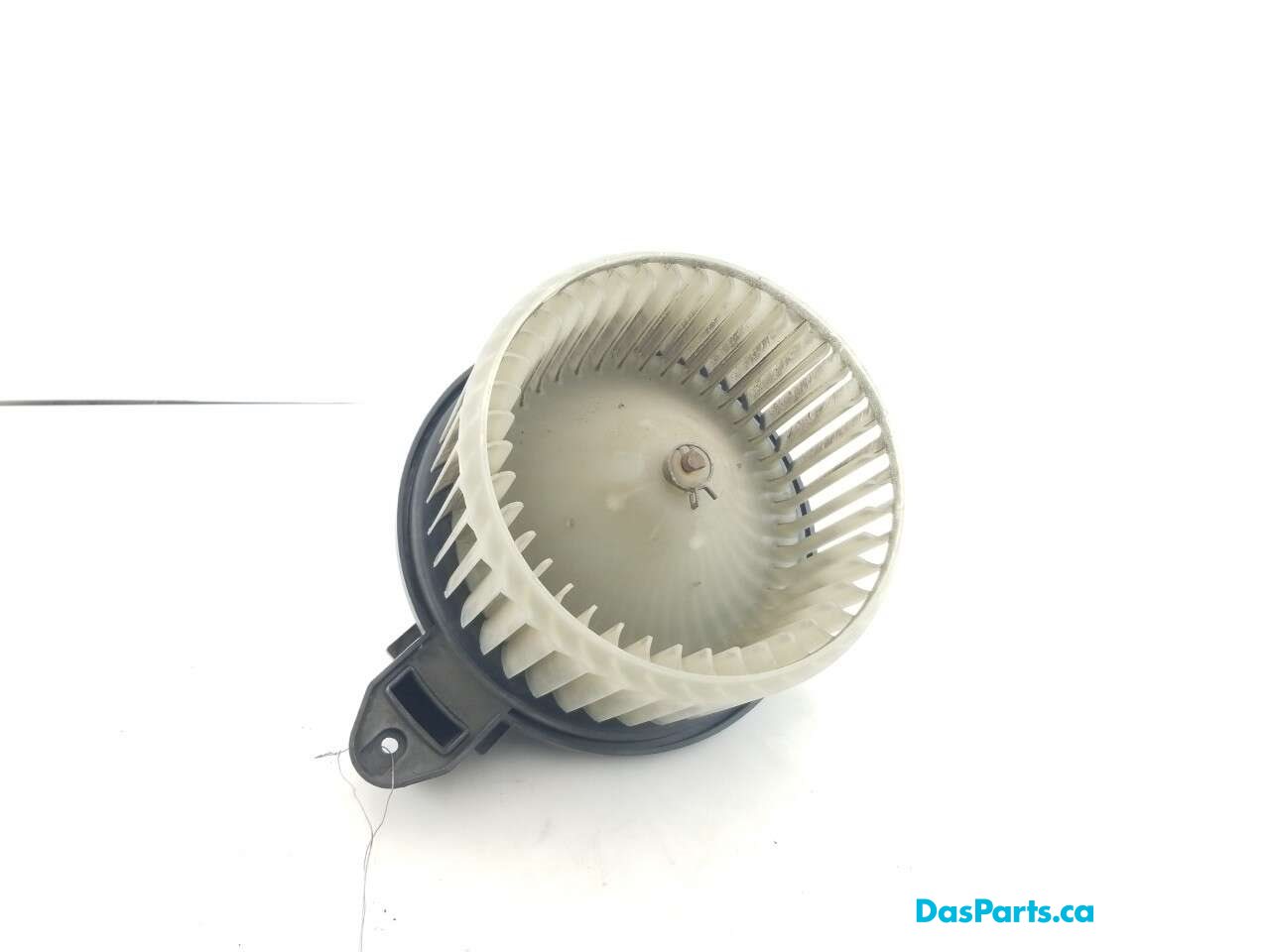 Blower Motor