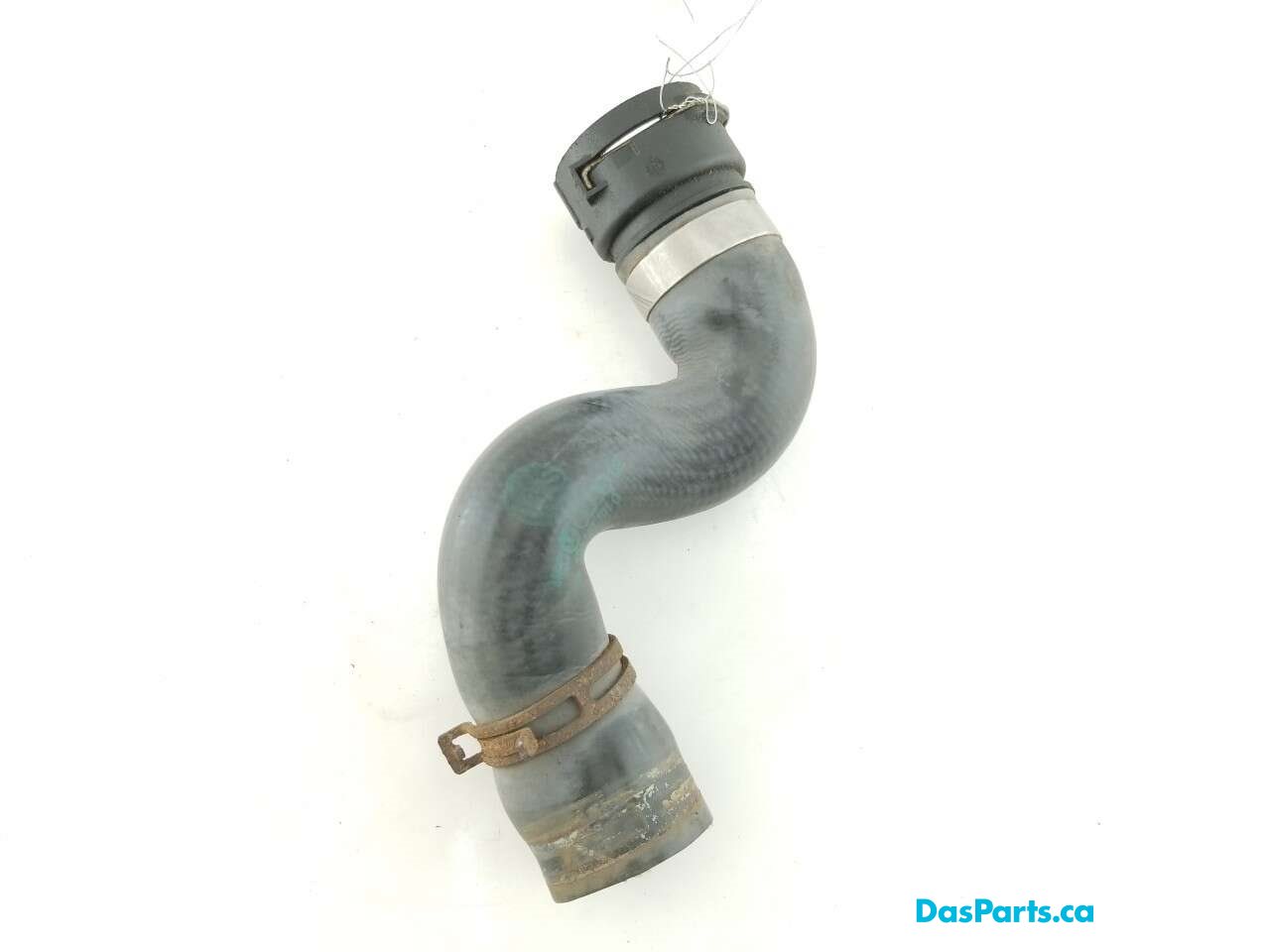 Lower Rad Hose