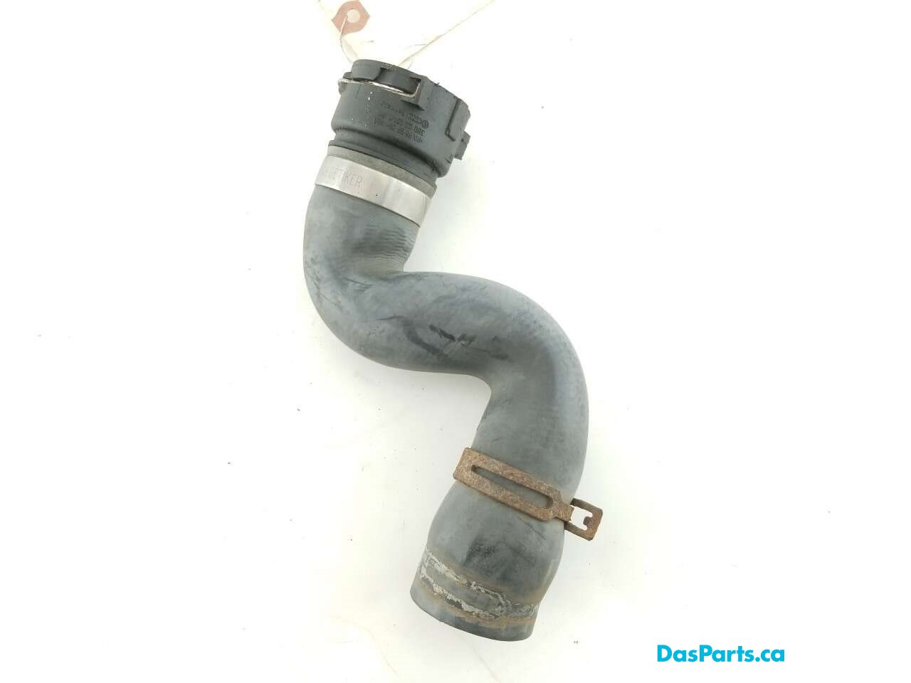 Lower Rad Hose