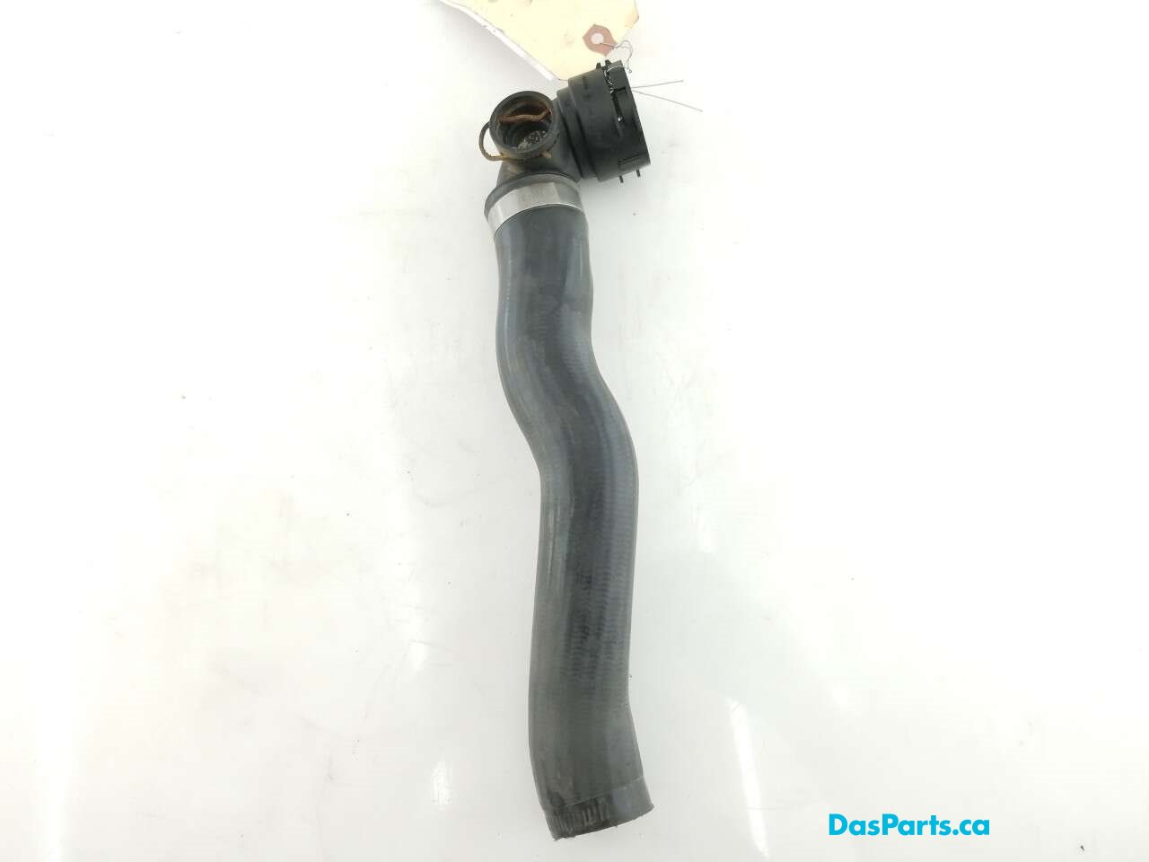 Upper Rad Hose