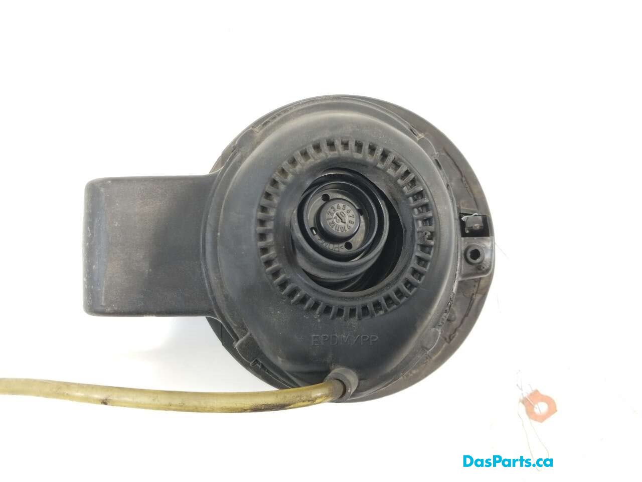 Fuel Door
