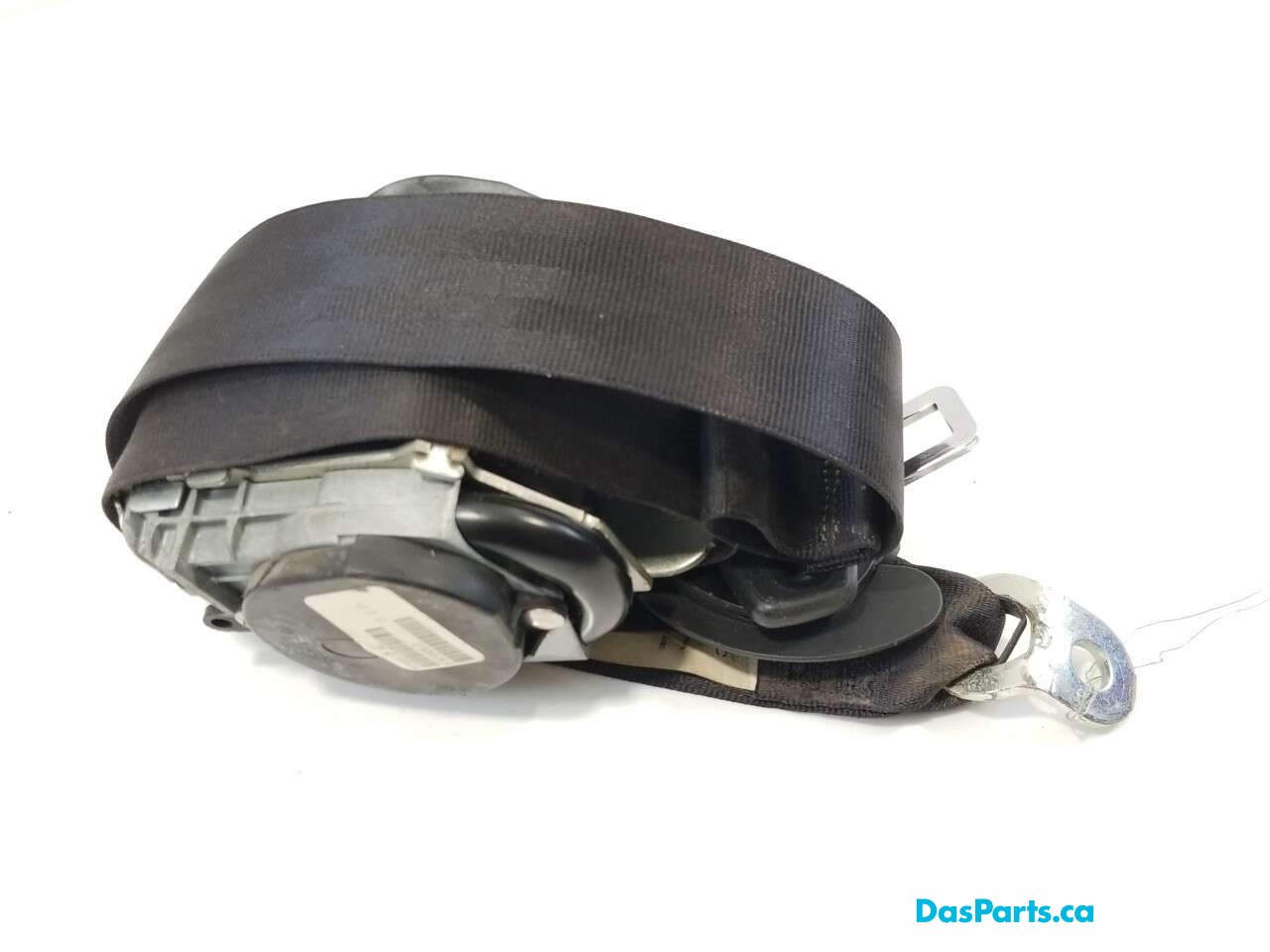 Seat Belt RF