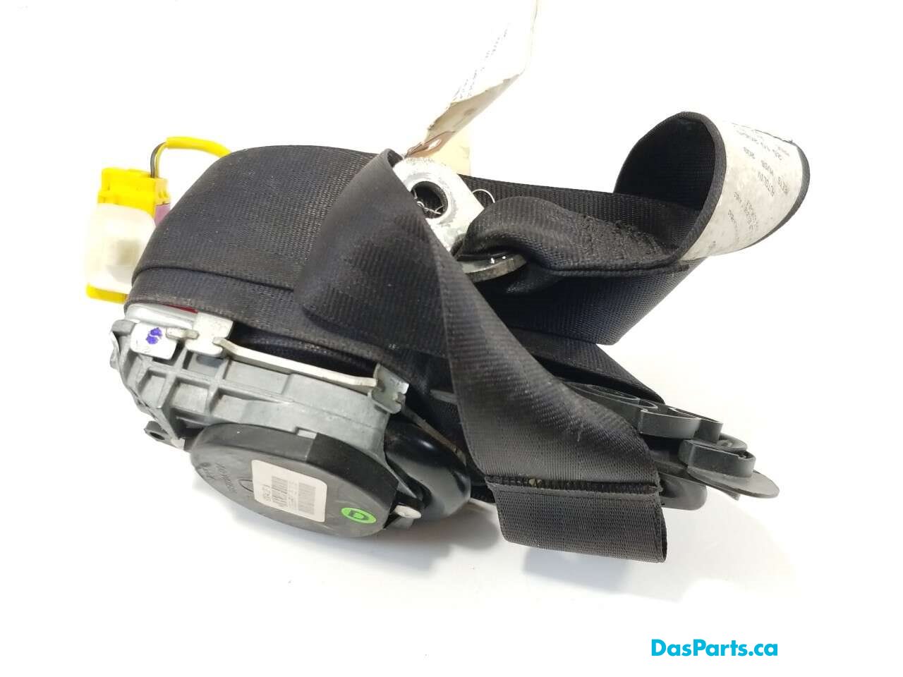 Seat Belt RF