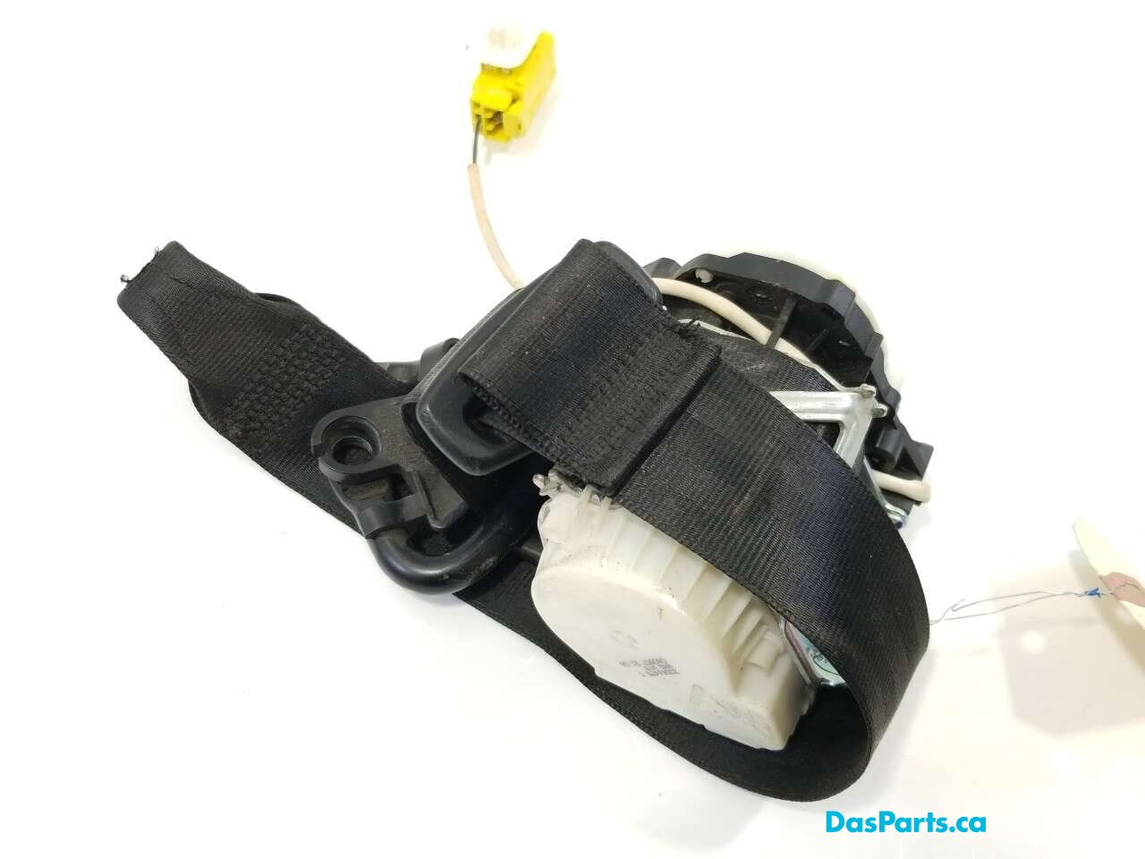 Seat Belt RF