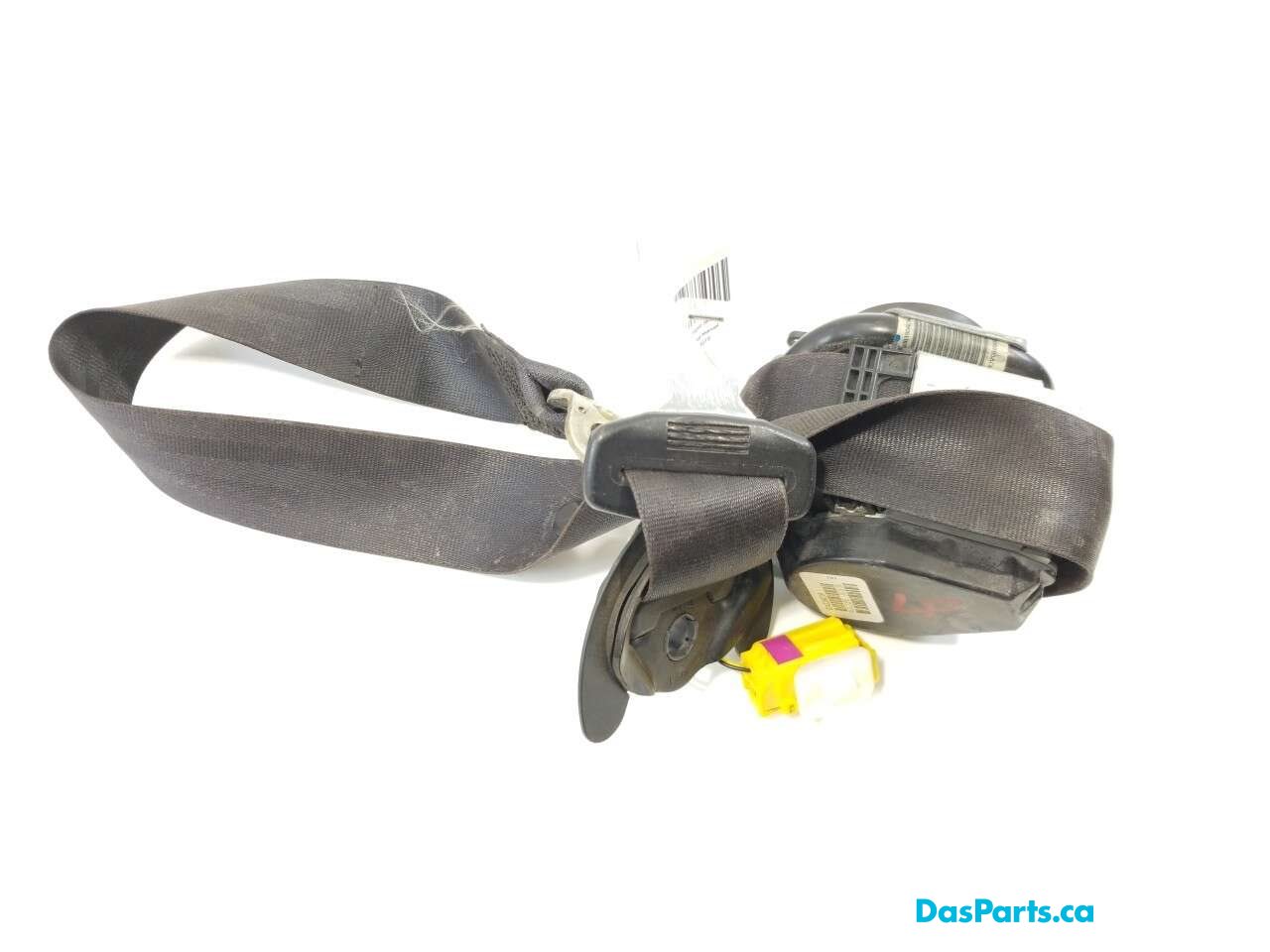 Seat Belt LF