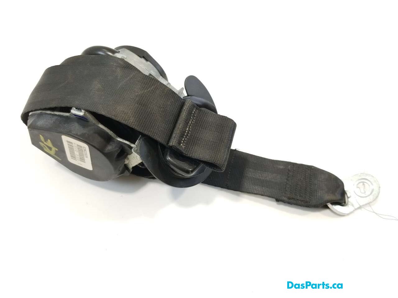 Seat Belt RF