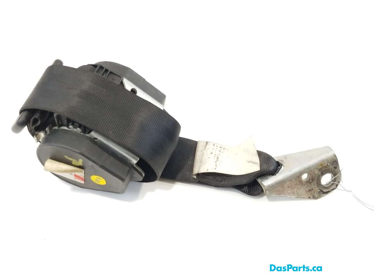 Seat Belt LR