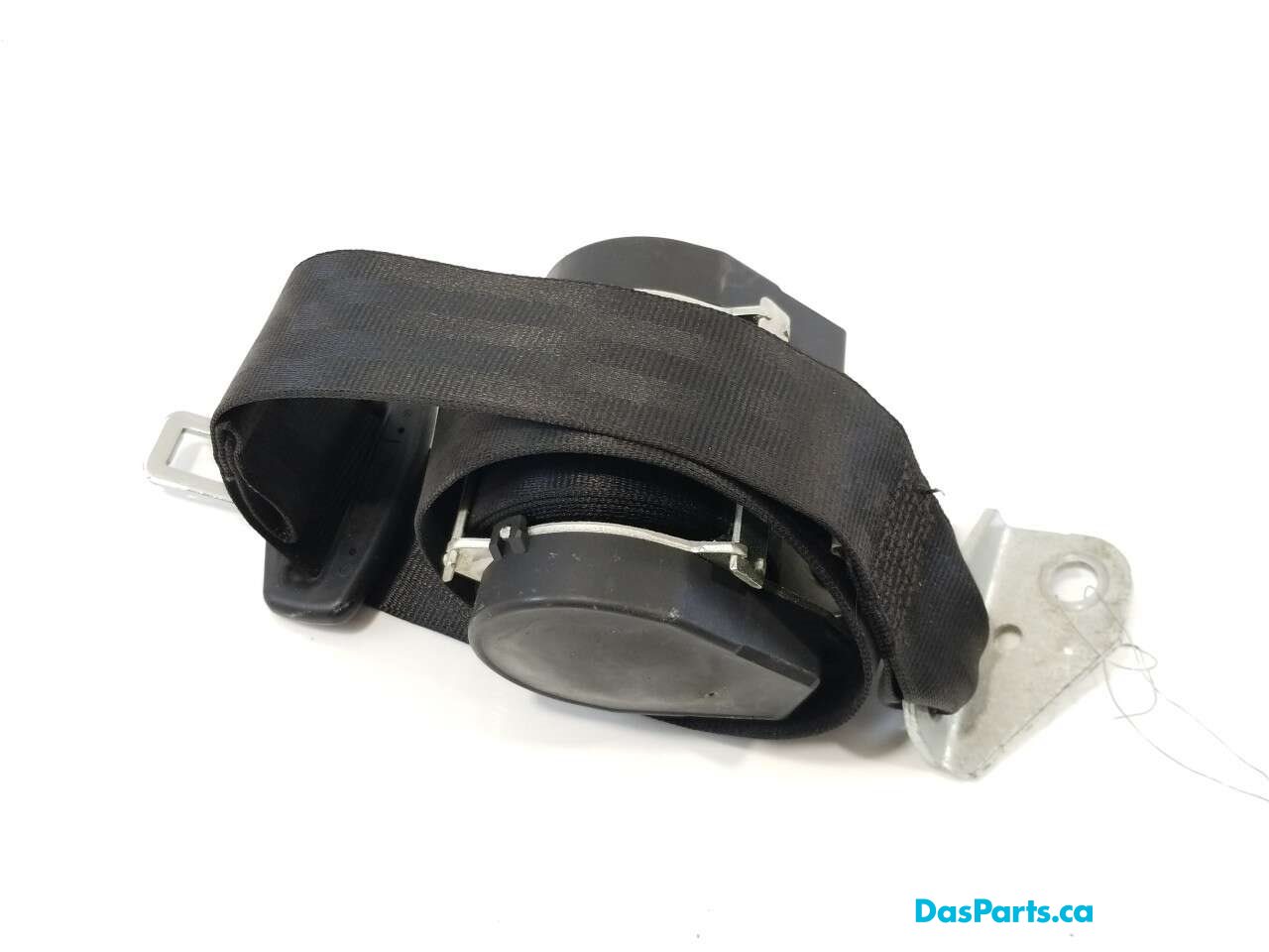 Seat Belt RR