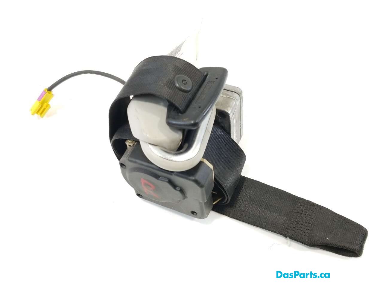 Seat Belt RF