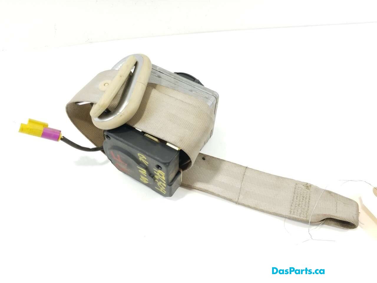 Seat Belt RF
