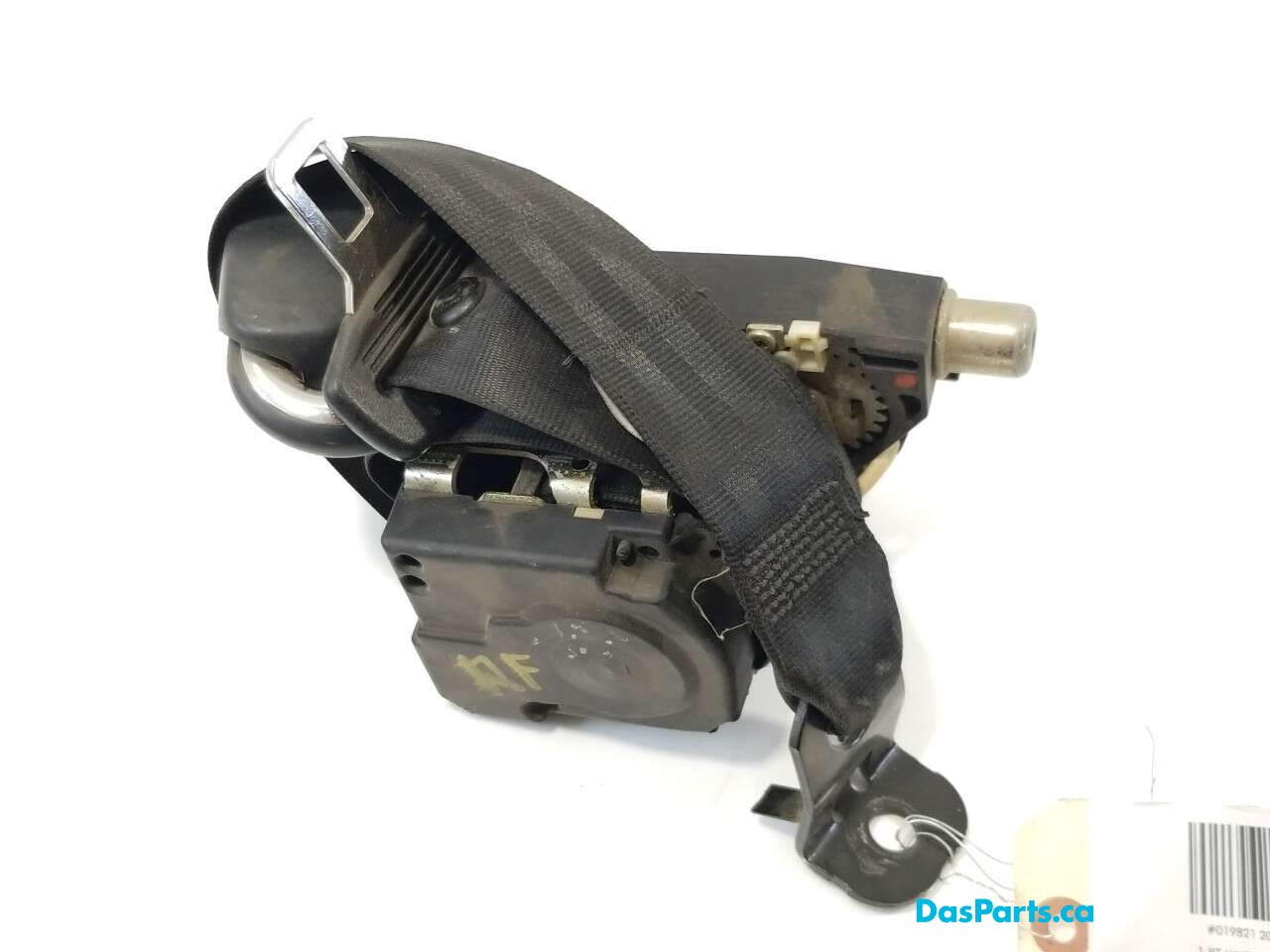 Seat Belt RF