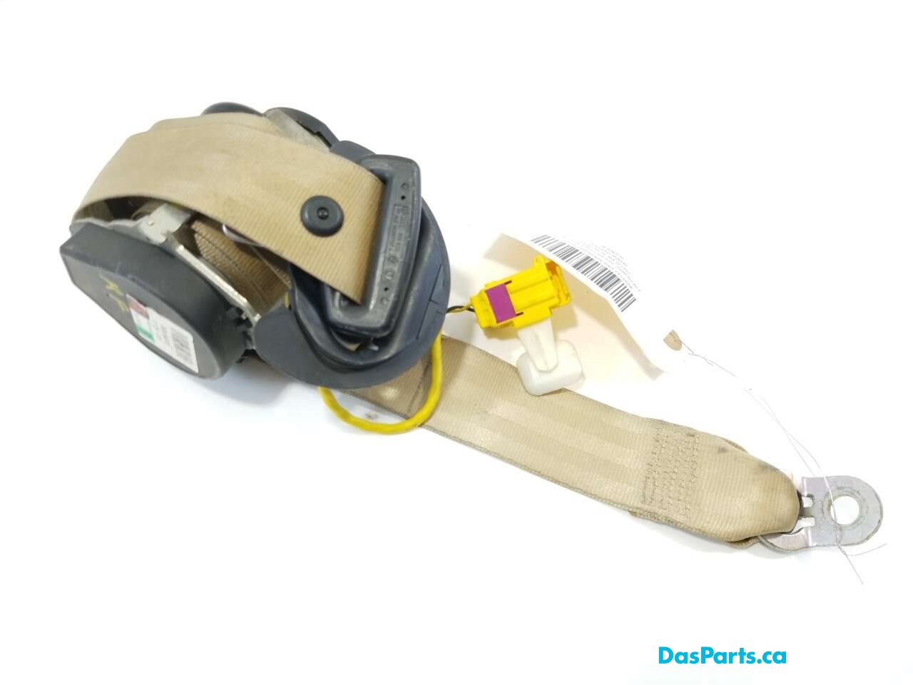 Seat Belt RF