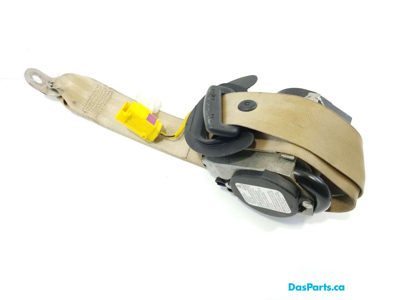 Seat Belt RF