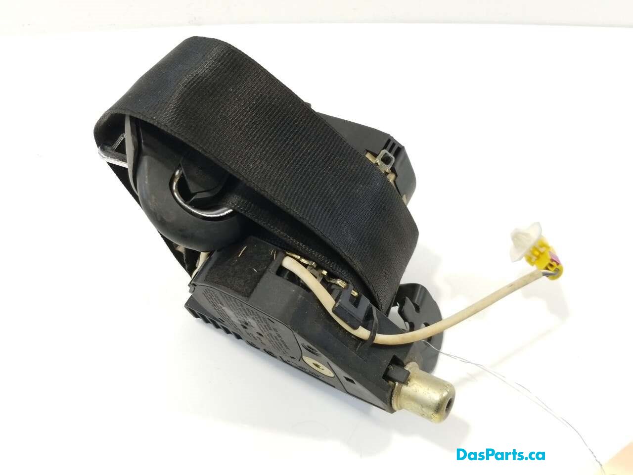 Seat Belt RF