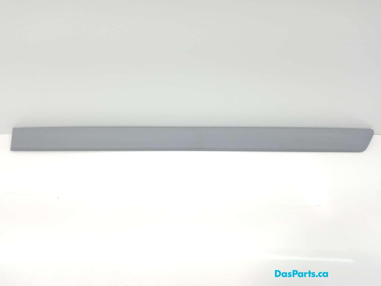 Lower Door Molding LR