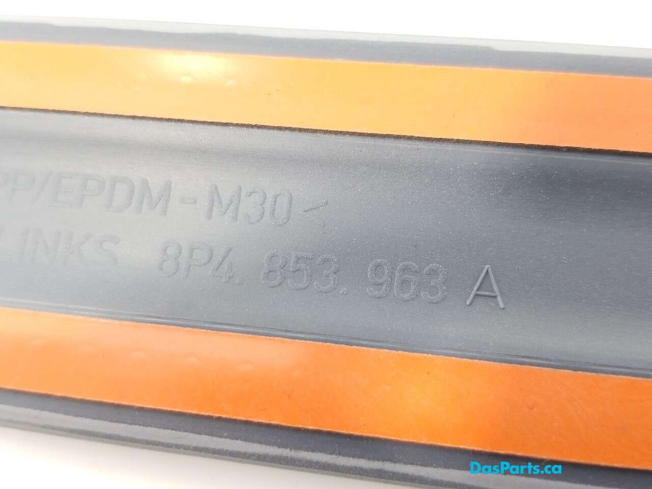 Lower Door Molding LR