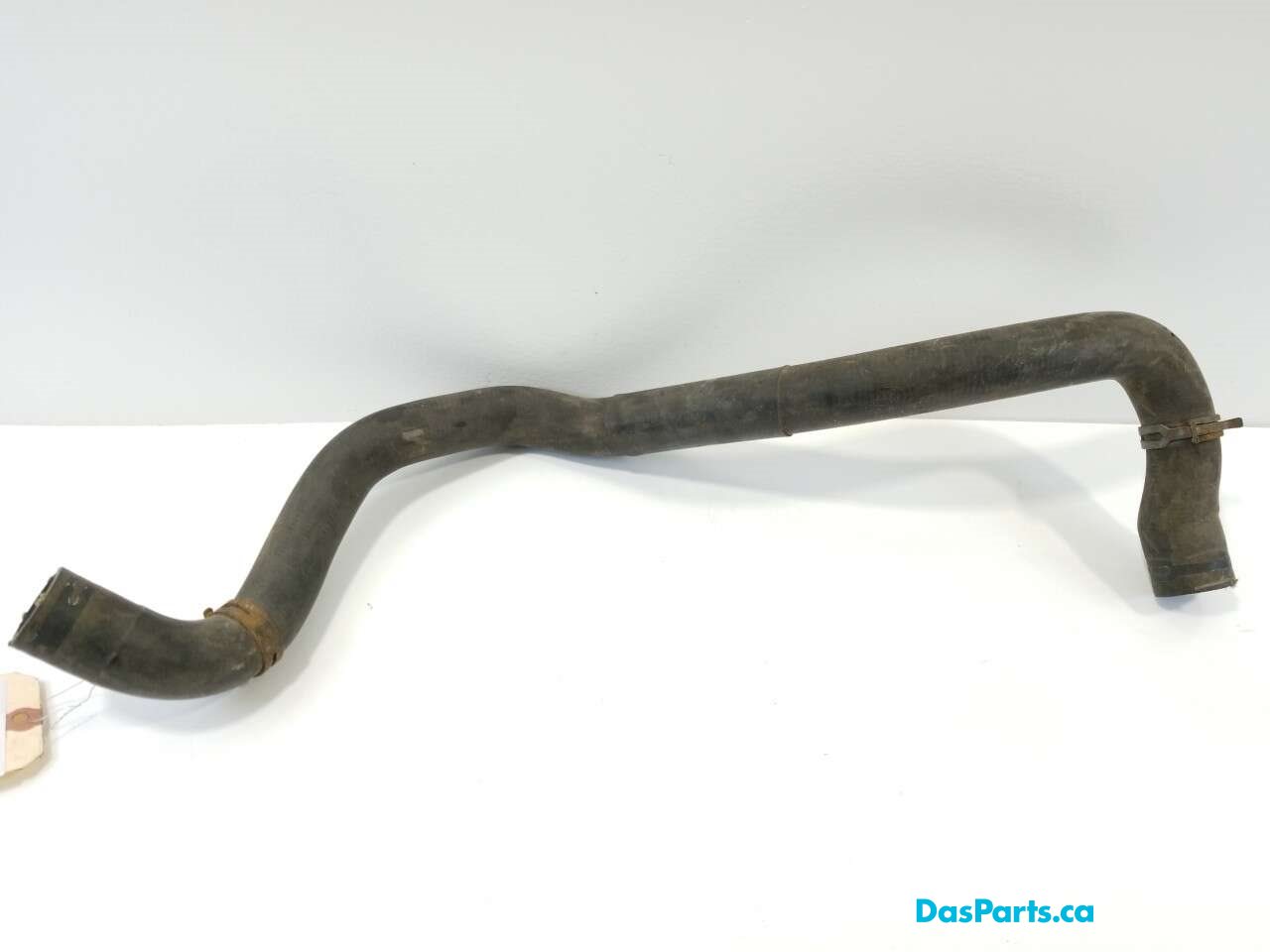 Lower Rad Hose