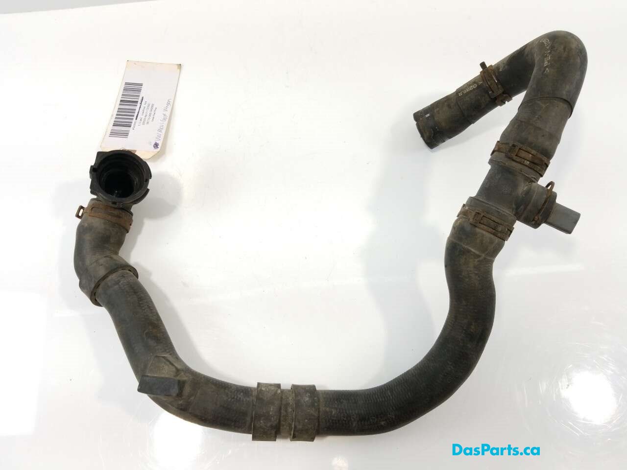 Lower Rad Hose