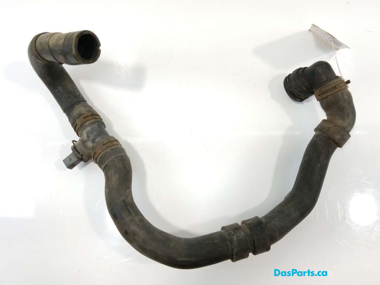 Lower Rad Hose