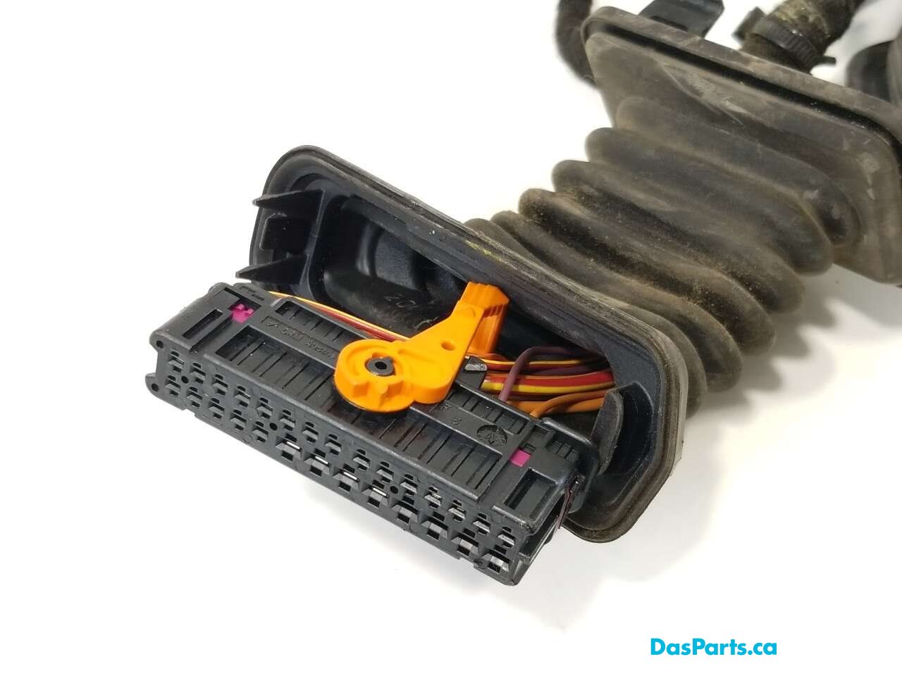 Door Harness RF 1