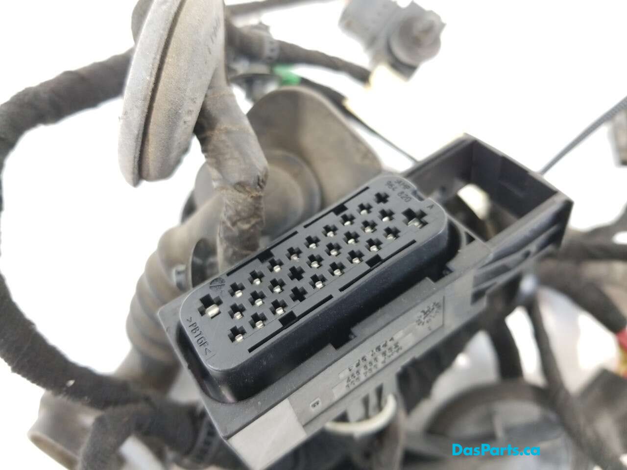 Door Harness RF 1