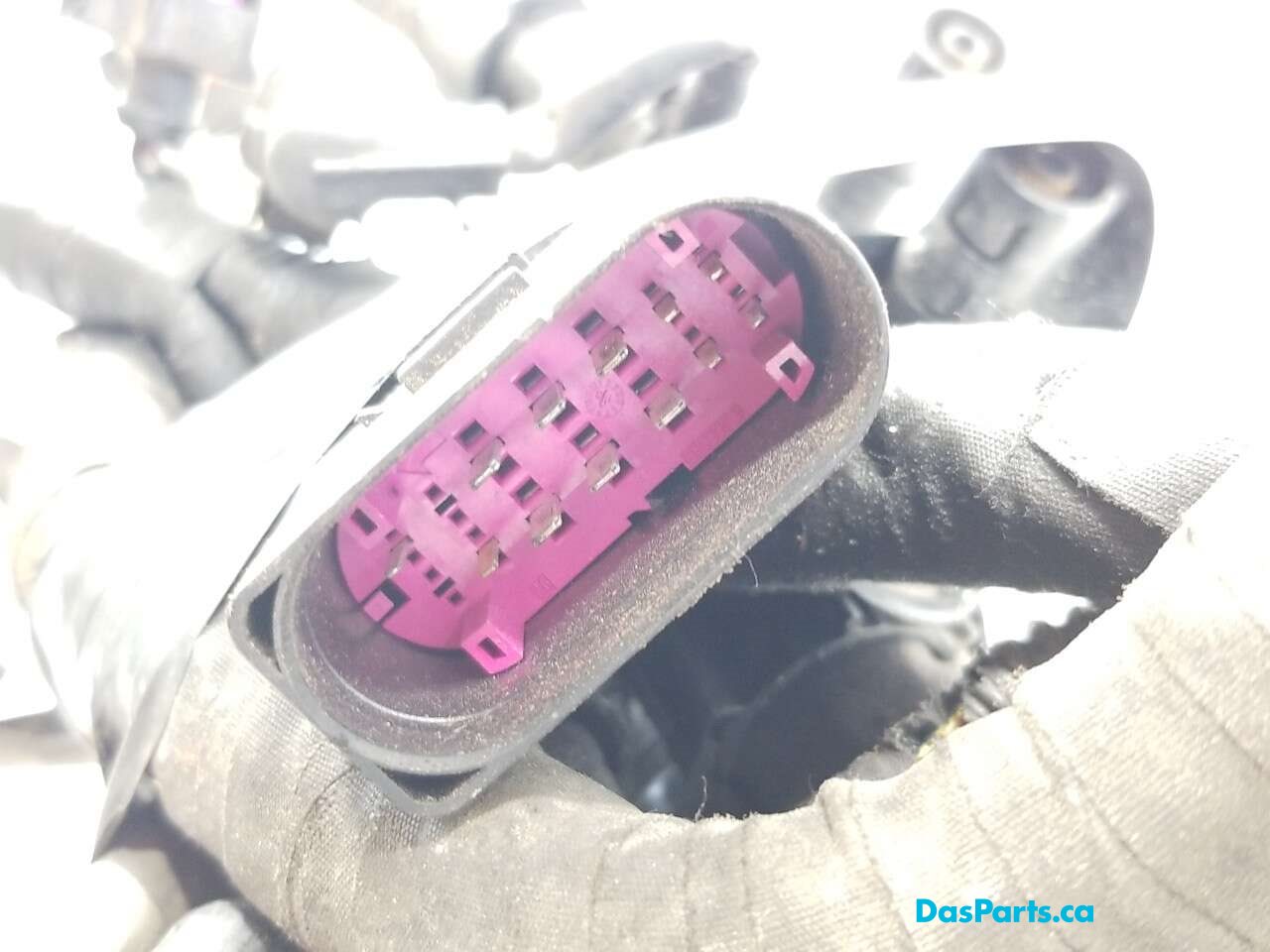 Engine Bay Harness