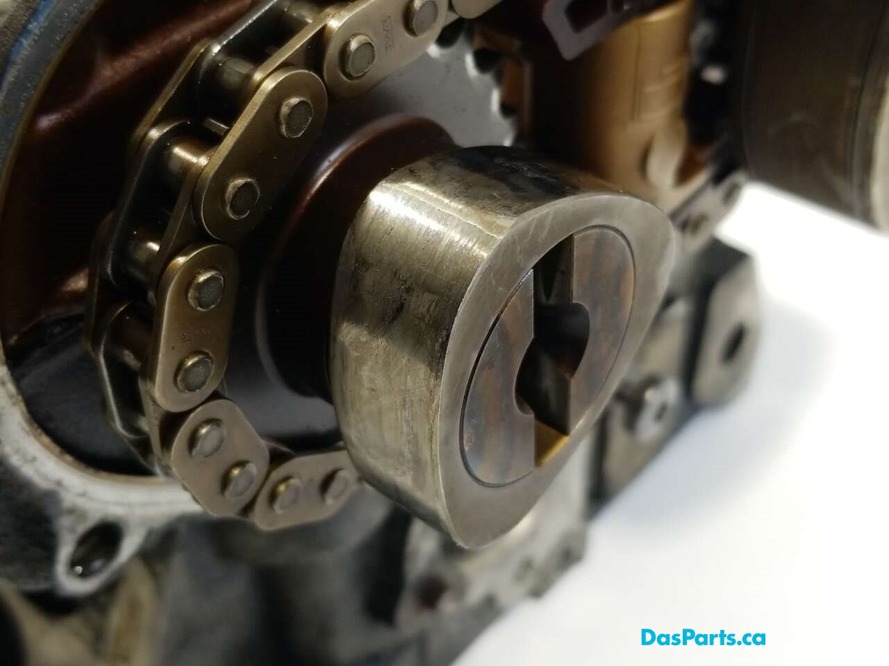 Engine Cylinder Head