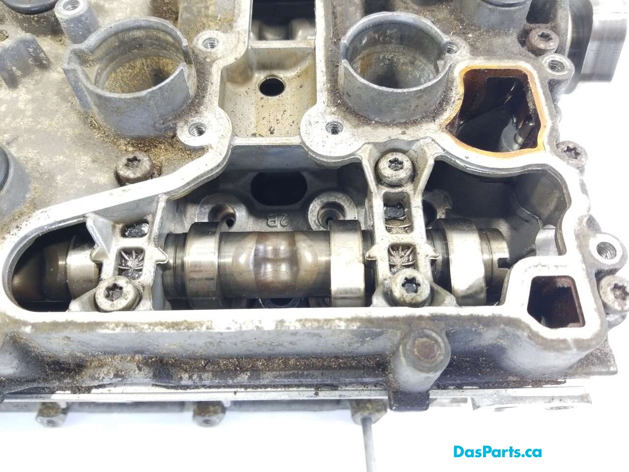 Engine Cylinder Head