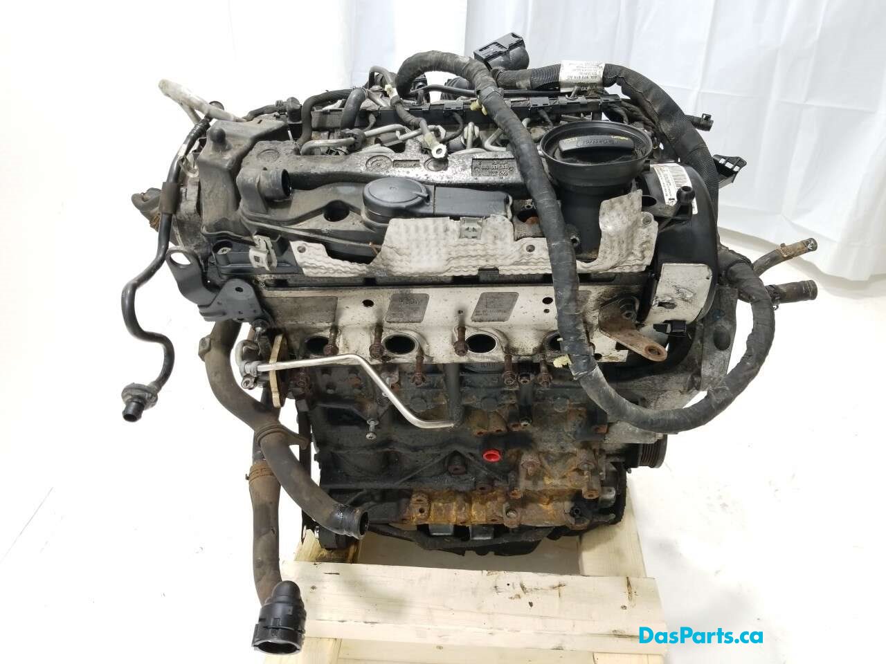 Engine Ass. Longblock
