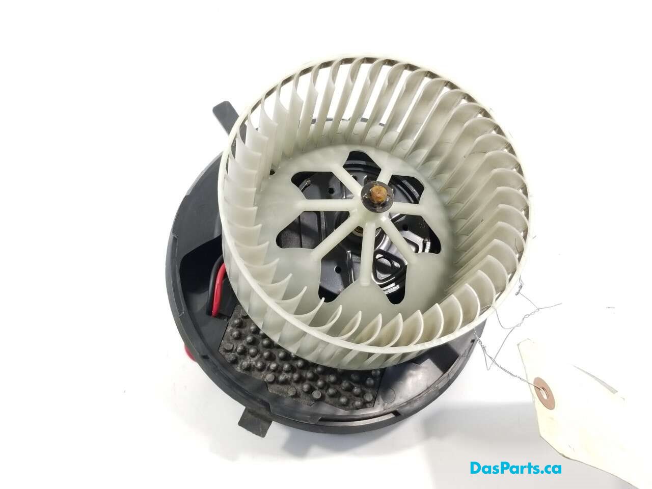 Blower Motor