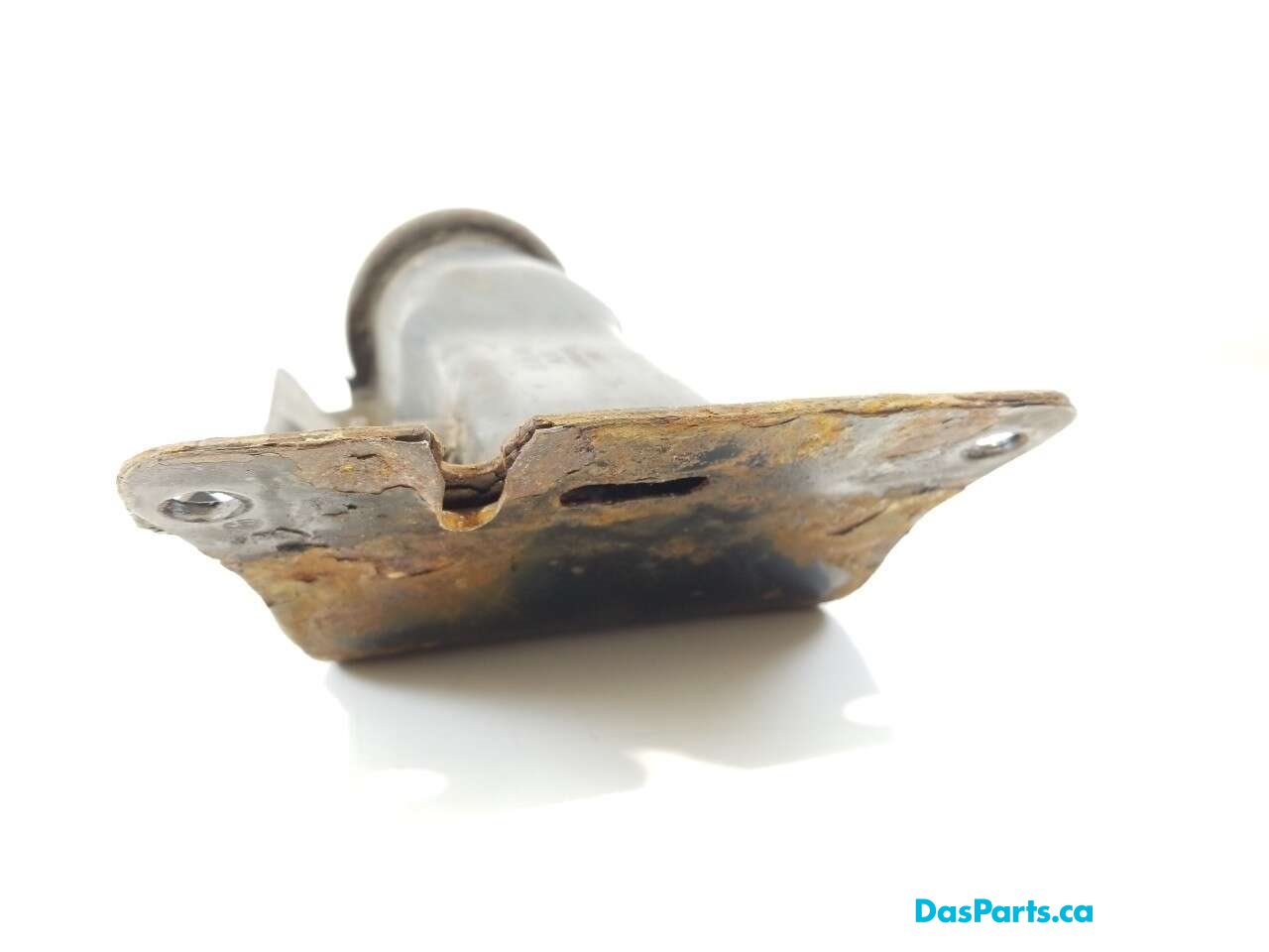 Strut Mount LR