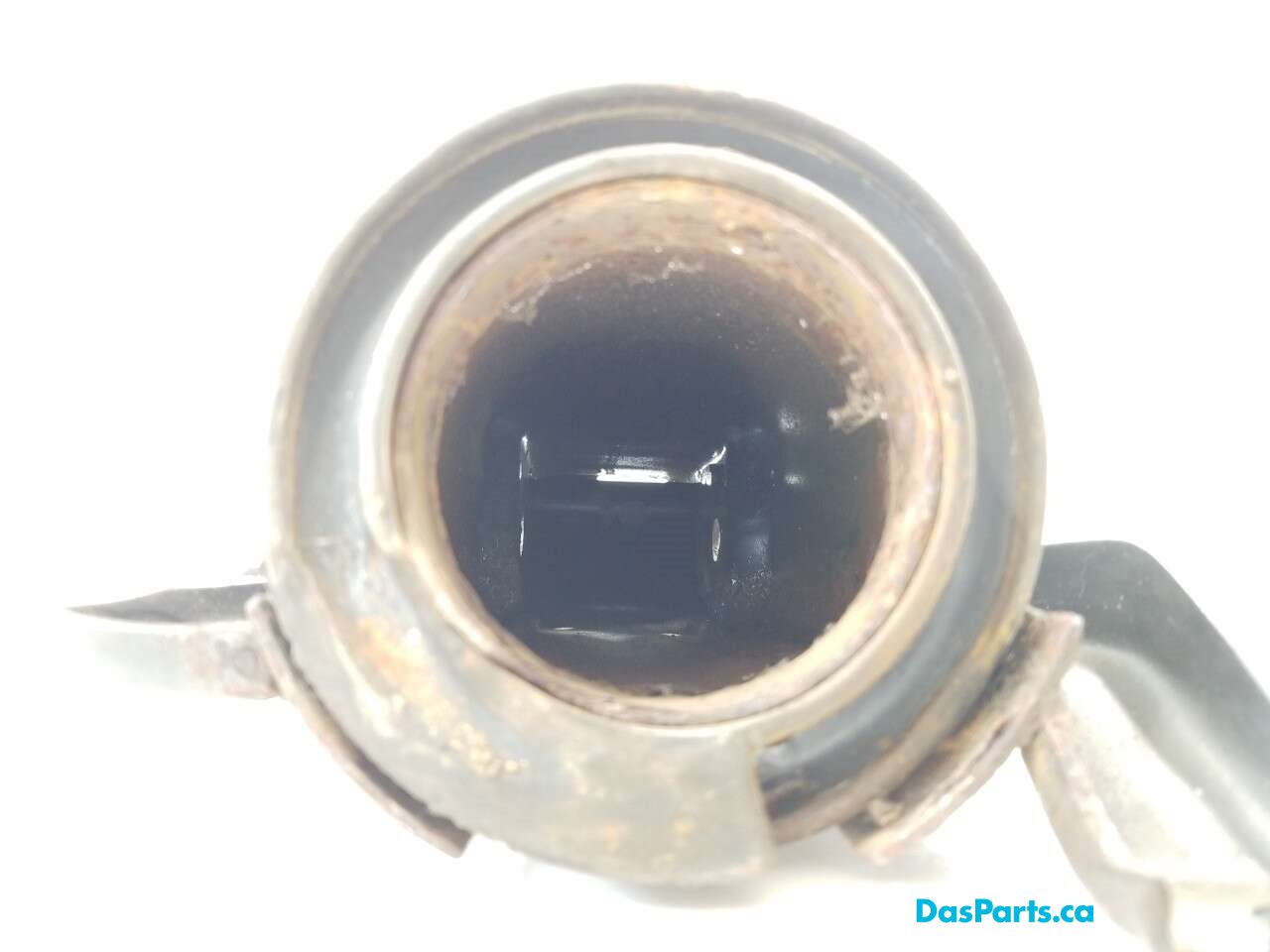 Strut Mount LR