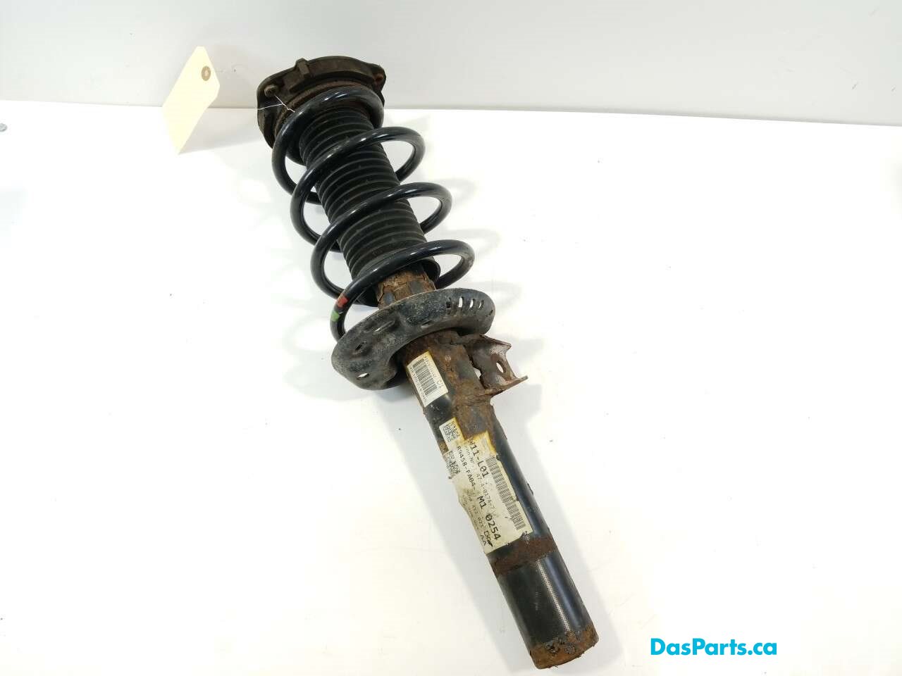 Strut Assembly LF