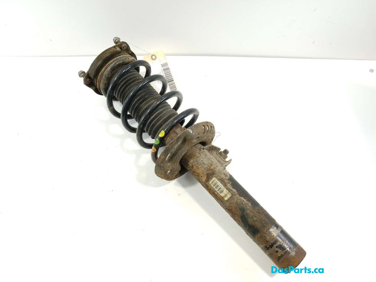 Strut Assembly LF