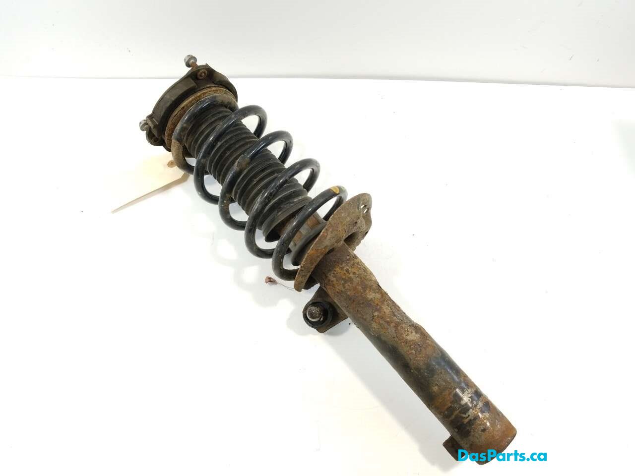 Strut Assembly LF