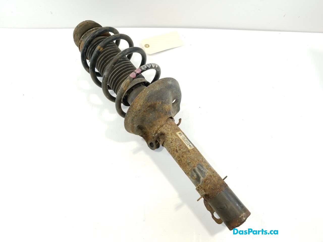 Strut Assembly RF