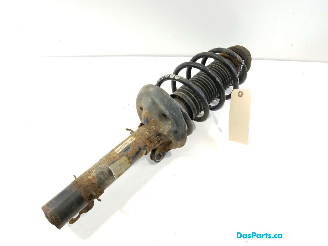 Strut Assembly RF