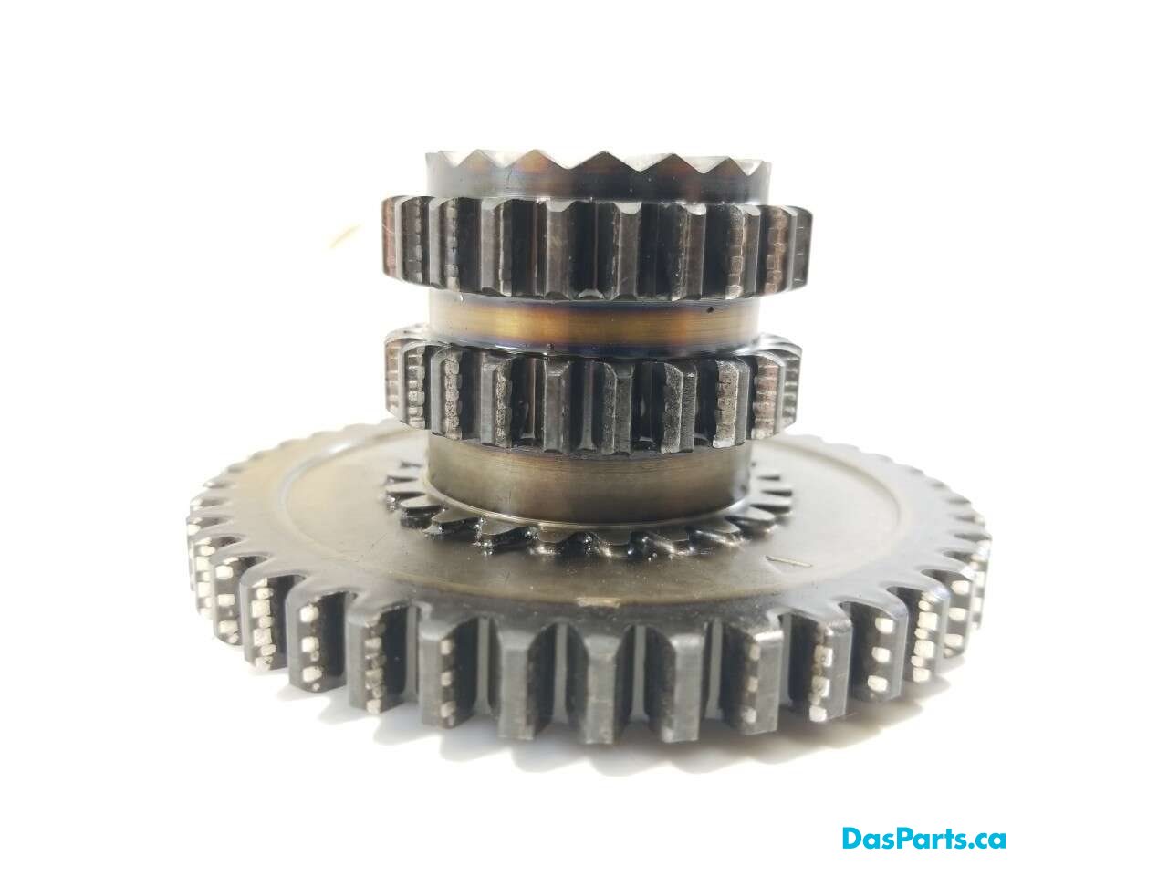 Timing Drive Gear