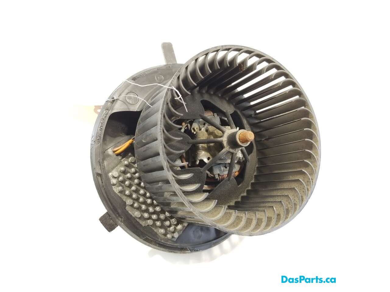 Blower Motor