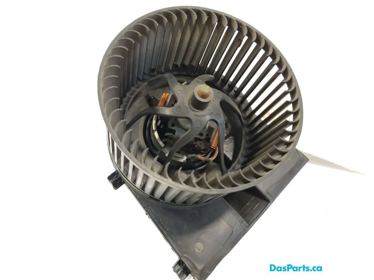 Blower Motor