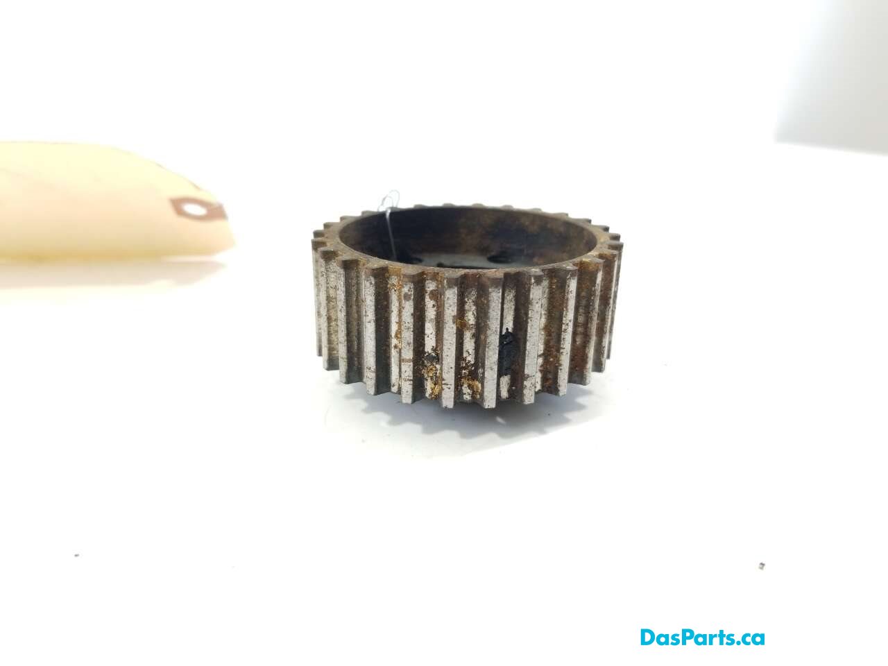 Timing Drive Gear