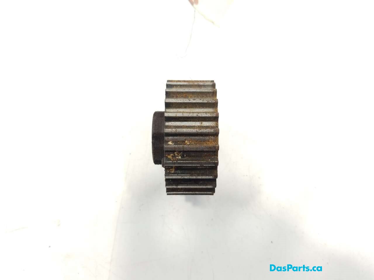 Timing Drive Gear