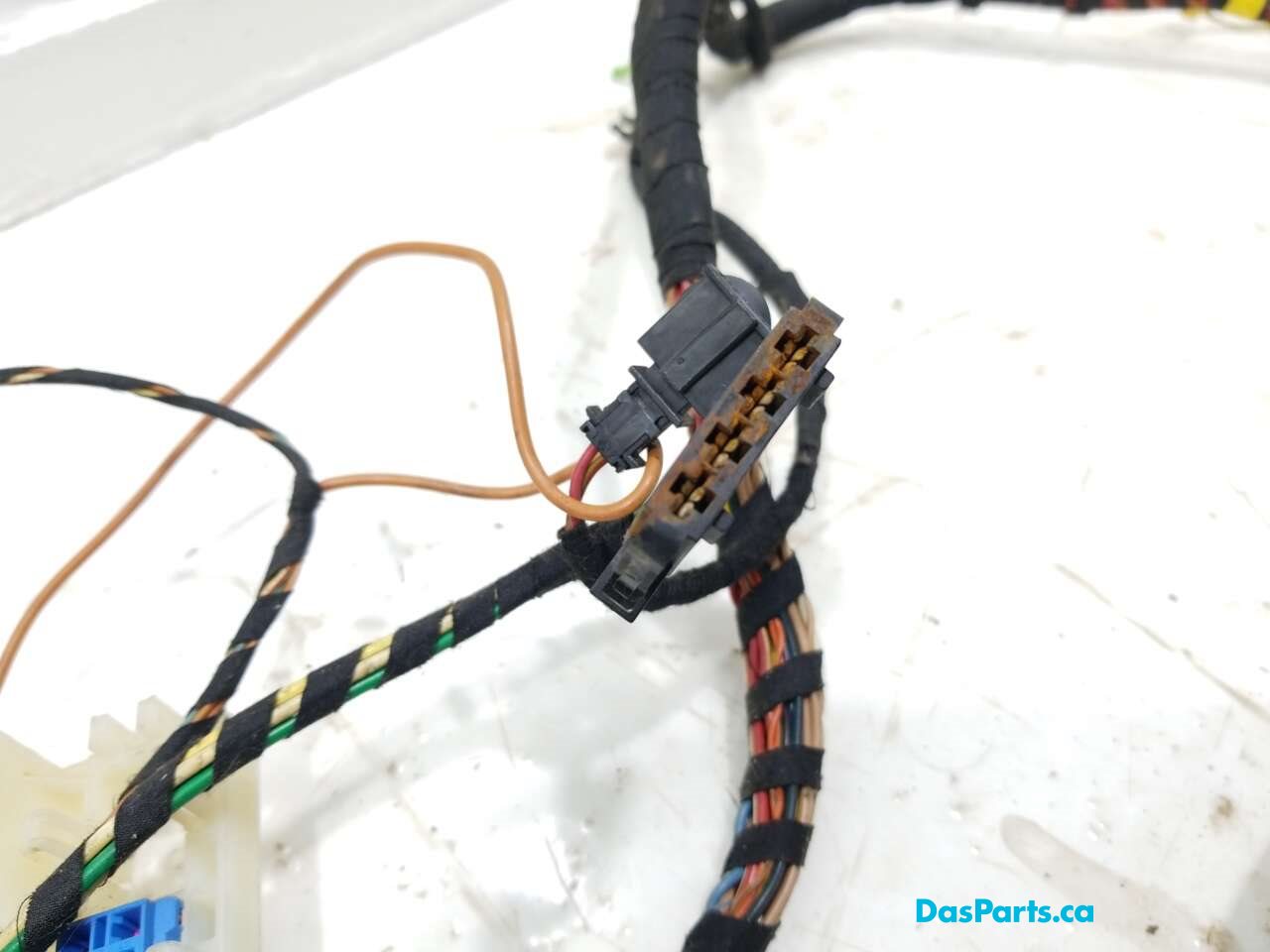 Body Harness