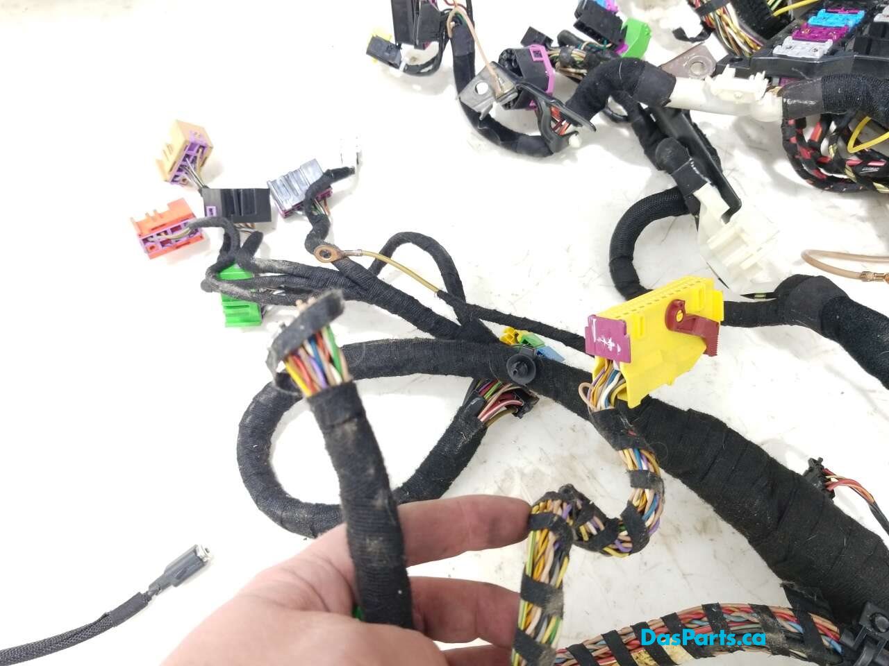 Body Harness