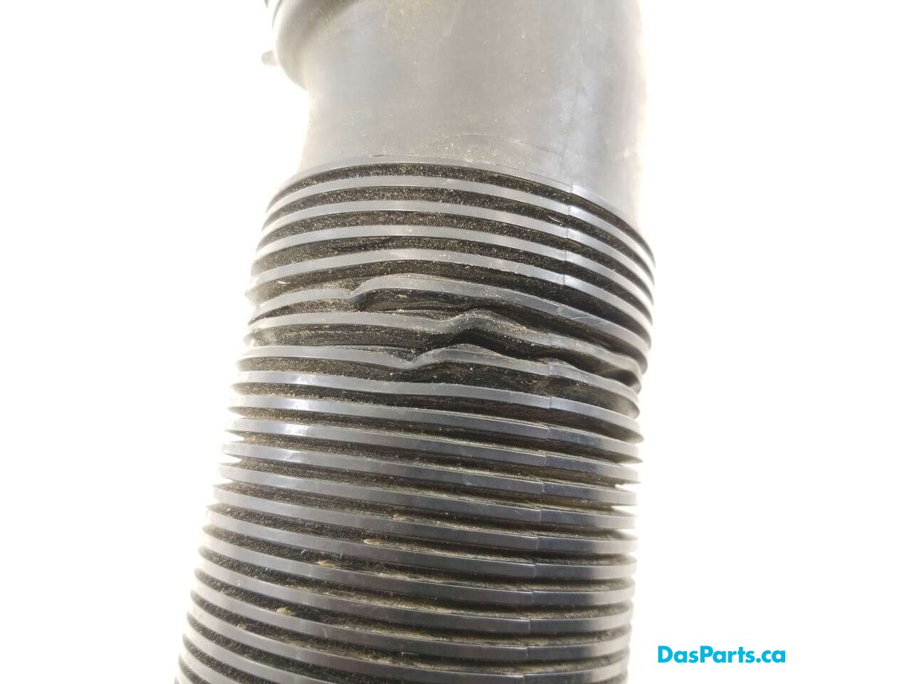 Intake Hose 1
