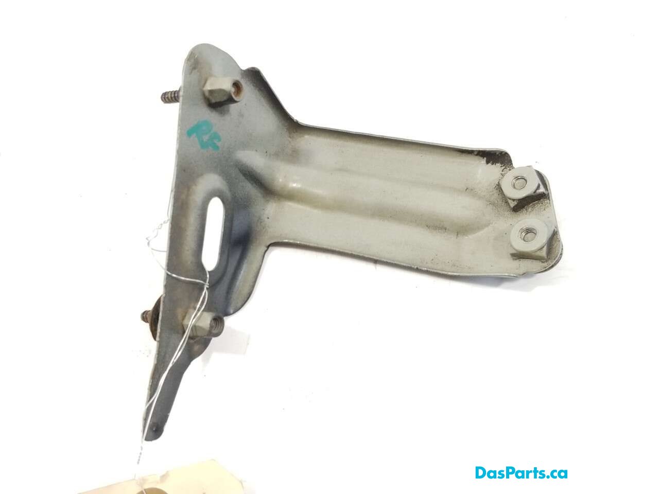 Fender Support RF