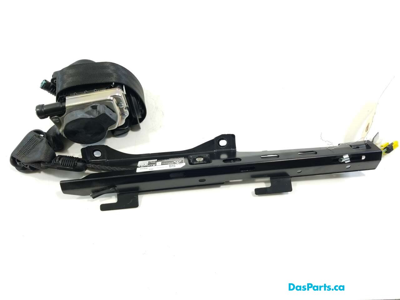 Seat Belt RF