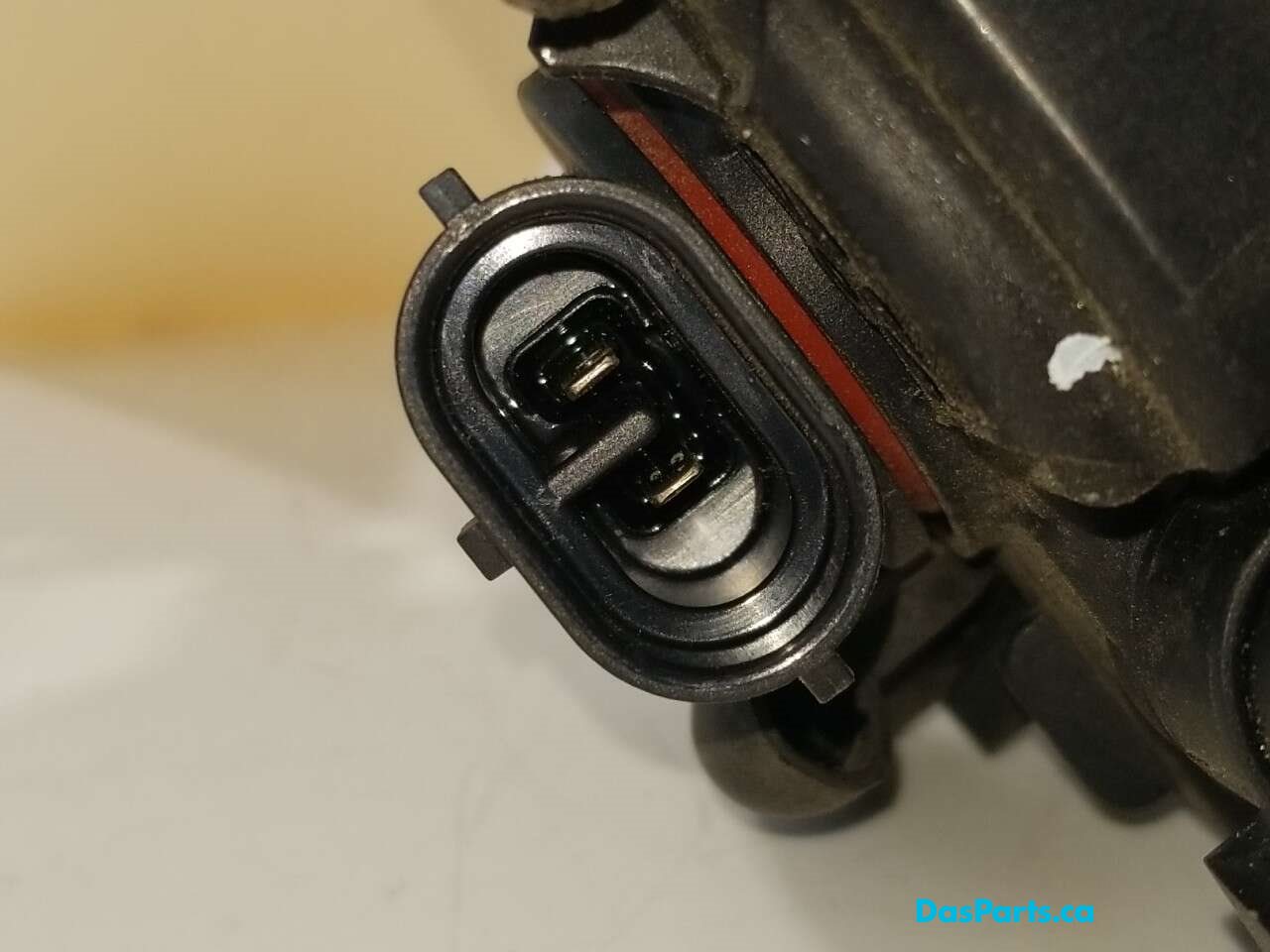 Fog Light R