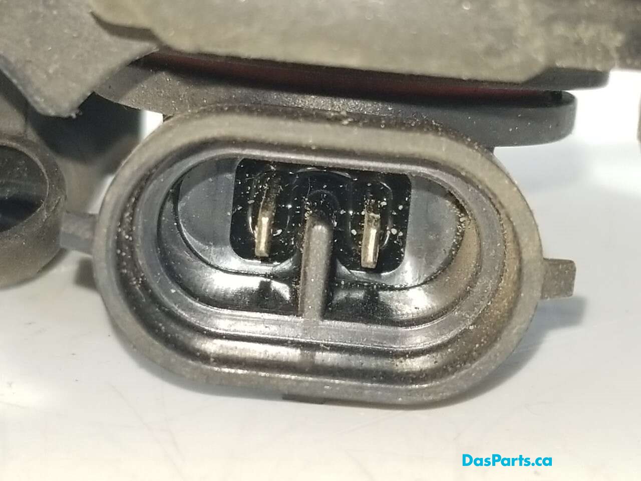 Fog Light L